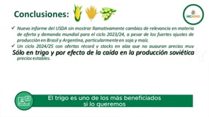 Mercado internacional: Ciclo 23/24 no refleja ajustes de producción en Maíz y Soja