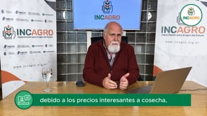 Mercado local: Tomar cobertura para garantizar precios atractivos
